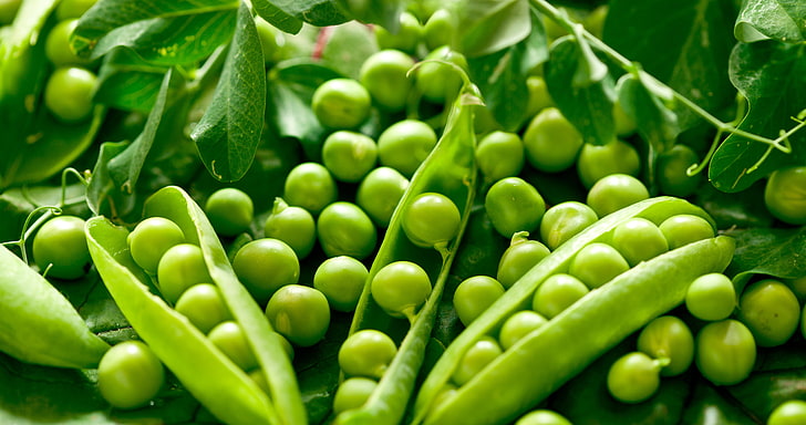 Product: Green Beans